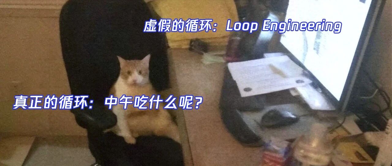 对Loop Engineering的思考
